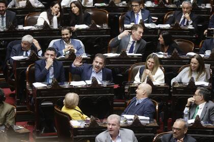 El Pro durante la sesión en la Cámara de Diputados por la Ley Bases