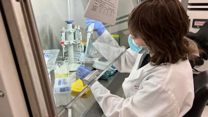 El problema es que se han vinculado a enfermedades autoinmunes, como la afección inflamatoria intestinal, la enfermedad de Crohn