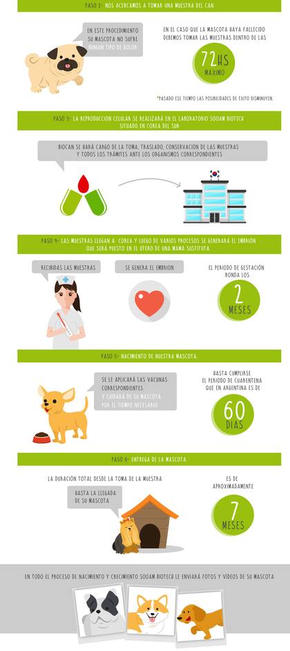 El proceso de clonación