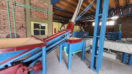 El proceso de elaboración del aceite de oliva es artesanal y autosustentable