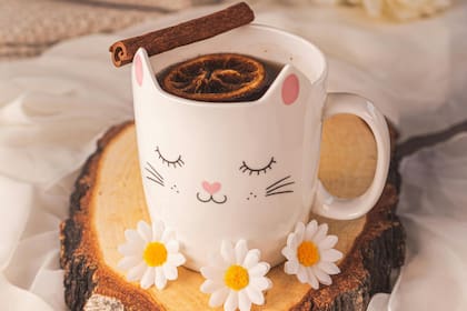 El proceso de preparación del té de canela consiste en hervir el agua, añadir las ramas de canela y cocer a fuego lento durante unos 10 minutos (imagen ilustrativa)