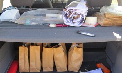 El proceso de recolección y clasificación de las muestras vegetales