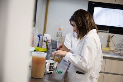 El proceso del kéfir es complicado y muchas veces se recomienda no consumirlo si no se está 100% seguro de su resultado