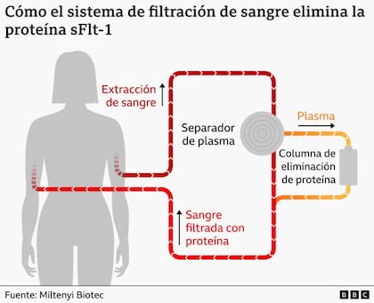 El proceso que evalúa el ensayo - MILTENYI BIOTEC/BBC