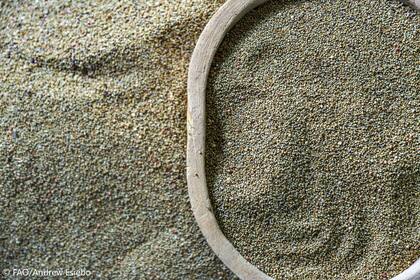 El producto representa una oportunidad para productores y consumidores