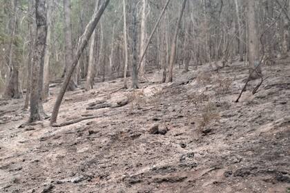 El productor aclaró que su casa no fue afectada por apenas 800 metros