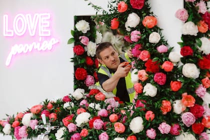 El productor Alec Hall trabaja en la exposición del hall de peonías durante los preparativos del festival.