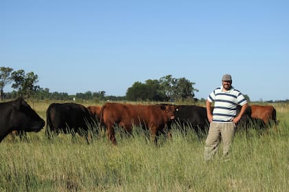 El productor busca la máxima eficiencia
