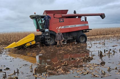 El productor Carlos Grondona el año pasado en la cosecha
