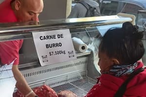 La carne de burro asoma como alternativa económica en la Patagonia
