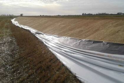 El productor deberá recuperar la carga antes de que vuelva a llover para evitar pérdidas