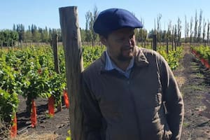 El productor de vinos más austral del país: el hombre que apunta a una revolución en la Patagonia