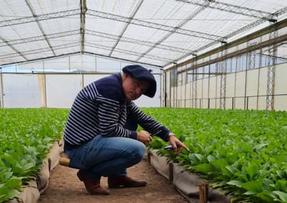 El productor explicó que se trata de una actividad intensiva en recursos y con escaso margen de reconversión