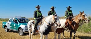 Un productor denunció el faltante de más de 100 vacunos valuados en $145 millones