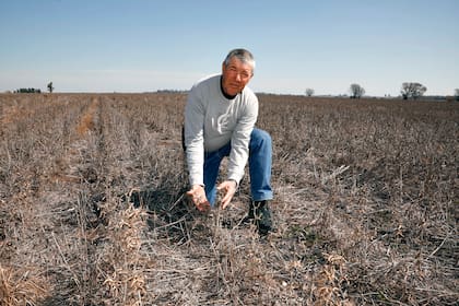 El productor José Luis Roca sobre un lote con rastrojo de soja que hoy debería estar con trigo que no se pudo sembrar por la falta de lluvias