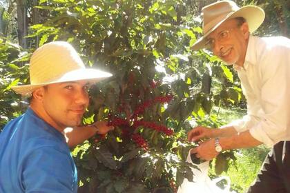 El productor mientras hacía una de las primeras cosechas de las plantas madre