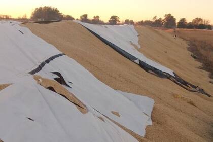 El productor no tiene ningún indicio de quién pudo haber sido el autor del acto de vandalismo