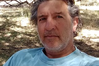 “En mis 54 años nunca tuve un caso parecido”: sus vacas comen un trigo fulminado