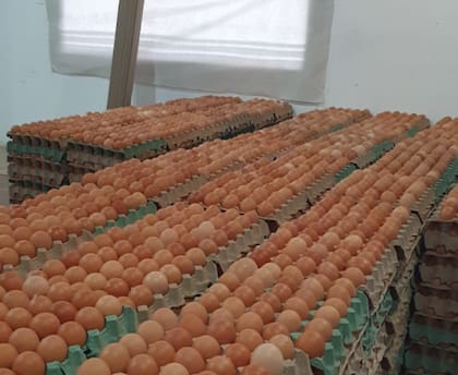 El productor santafesino reconoce que el desafío económico es grande: “En el mismo espacio donde yo tengo 7500 gallinas, en el sistema de jaulas entran 25.000. La diferencia es enorme. Pero no puedo cobrar cuatro veces más caro, por eso lo vendo un 30 o 35% arriba del huevo común, tratando de mantener un precio justo”