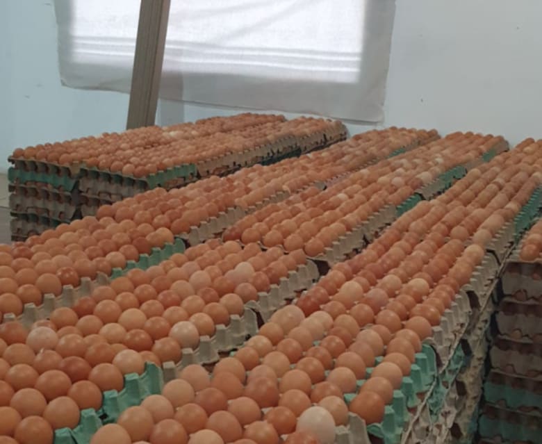 El productor santafesino que impulsó el protocolo para gallinas libres de jaula y revoluciona la avicultura argentina
