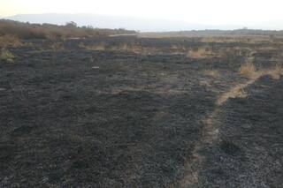 Tucumán: incendiaron un campo y la policía ya detuvo a dos personas