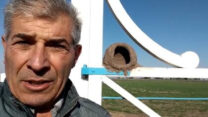 El productor Walter Malfatto. Atrás, el nido a medio terminar en 2021