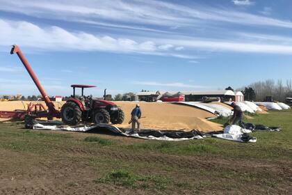 El productor ya está reembolsando el cereal