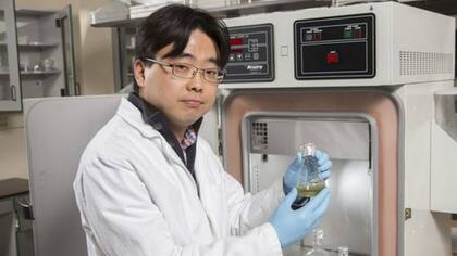 El profesor asistente Seokheun Choi lleva trabajando cinco años en baterías de papel y energía generada por bacterias