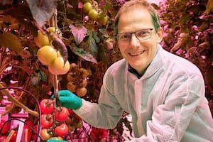 El profesor Leo Marcelis, científico neerlandés, es jefe del grupo de Horticultura y Fisiología de Plantas en la Universidad de Wageningen.