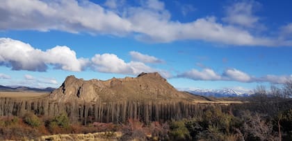El programa apunta a combinar producción ganadera, conservación y acción climática en una de las regiones de mayor valor ecológico del país.