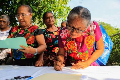 El programa comenzará en 2025 con el apoyo solo al sector de mujeres indígenas y afromexicanas