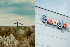 El plan de liberación masiva que involucra a Google y se extiende a California