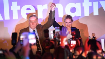 El programa de la AfD, el partido de ultraderecha que llegó al Parlamento alemán