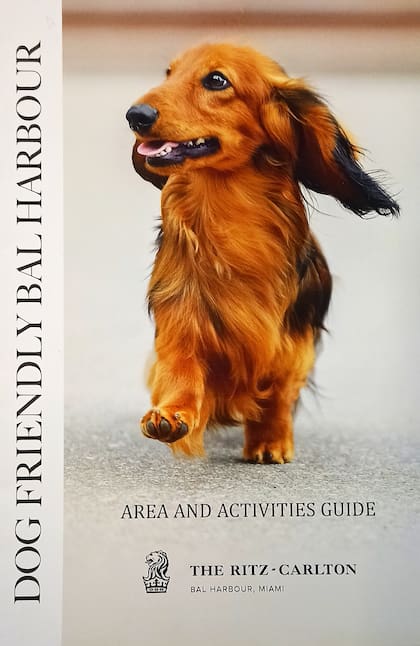 El programa Pet Friendly del The Ritz Carlton Bal Harbour ofrece actividades especiales y un menú a la carta especialmente pensado para las mascotas