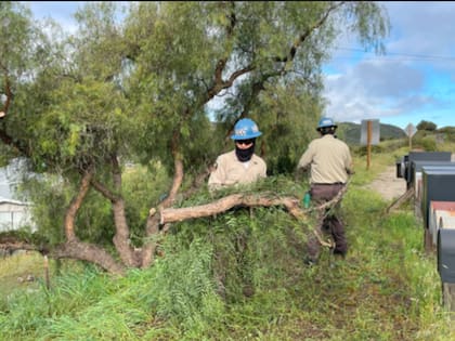 El programa piloto busca reforzar viviendas en zonas vulnerables al fuego