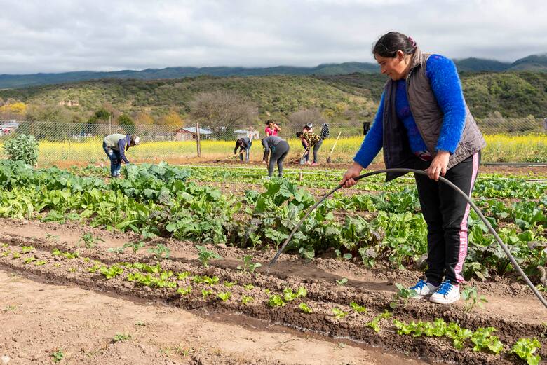 “Esto nos permitía vivir”: desconcierto por el final de un programa oficial que enseñaba a producir alimentos