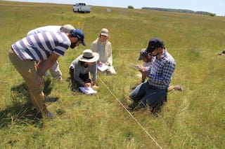 Un programa que busca mejorar 500.000 hectáreas comienza a pagar a productores