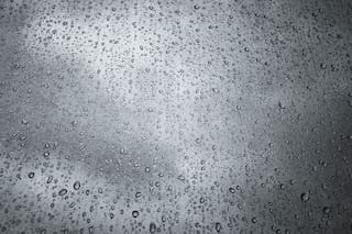 Clima en Bah铆a Blanca hoy: cu谩l es el pron贸stico del tiempo para el 1 de diciembre de 2025