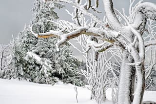Clima en Bariloche hoy: cuál es el pronóstico del tiempo para el 27 de abril de 2026