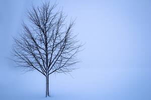 El pronóstico del tiempo para Bariloche para el 25 de julio.