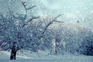 Clima en Comodoro Rivadavia hoy: cuál es el pronóstico del tiempo para el 26 de octubre de 2025