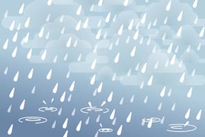 El pronóstico del tiempo para El Trébol para el 16 de julio.