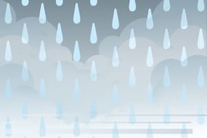 Clima en Mar del Plata hoy: cuál es el pronóstico del tiempo para el 25 de abril