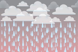 El pronóstico del tiempo para Tandil para el 24 de diciembre.