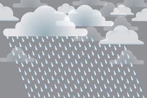 El pronóstico del tiempo para Tandil para el 24 de diciembre.