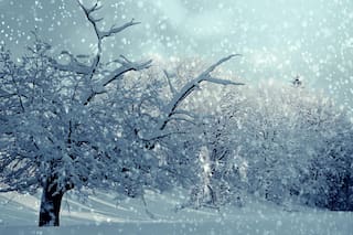 Clima en Ushuaia hoy: cuál es el pronóstico del tiempo para el 11 de mayo de 2026