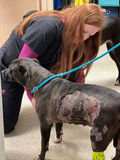 El pronóstico sobre su estado de salud no era alentador.