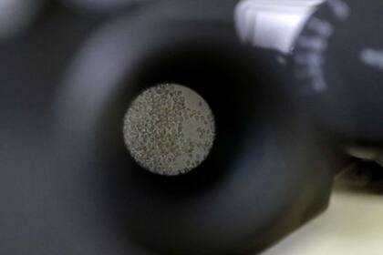 El propósito principal de las células T es identificar y matar patógenos invasores o células infectadas.