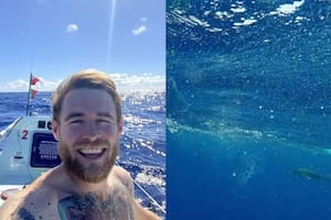 Se enfrentó “cara a cara” con un tiburón y logró sacarle una foto desde un ángulo jamás visto