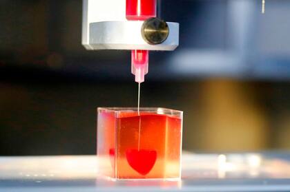 El prototipo de corazón humano, impreso con tecnología 3D y con tejidos humanos y vasos sanguíneos, tiene el tamaño de una cereza